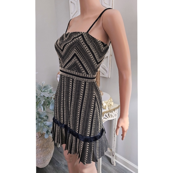 Alexis Grazie Black Beige Stripe Print Pleated Raffia Trim Mini Dress - Picture 2 of 16